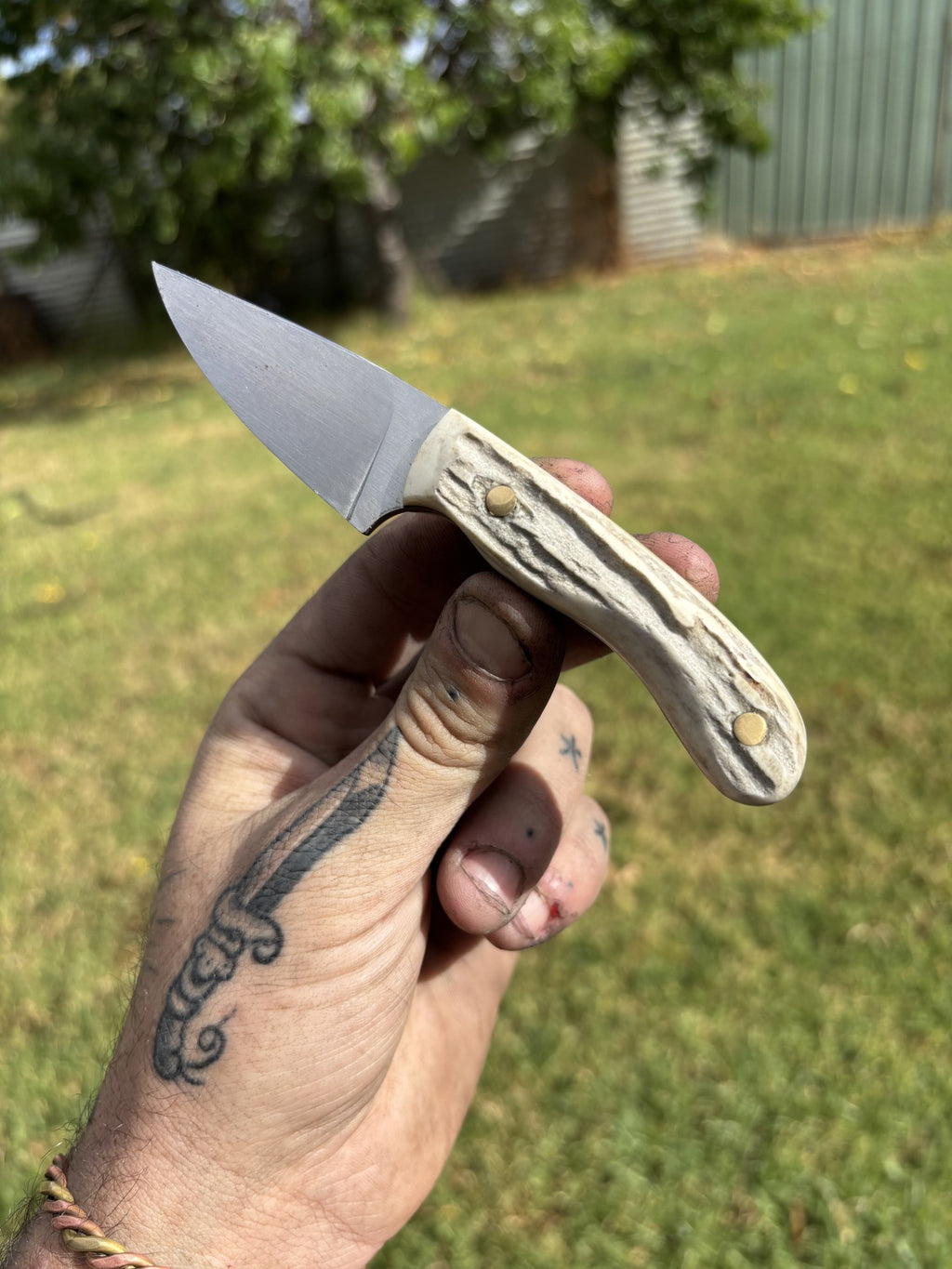 Snack Pack Antler