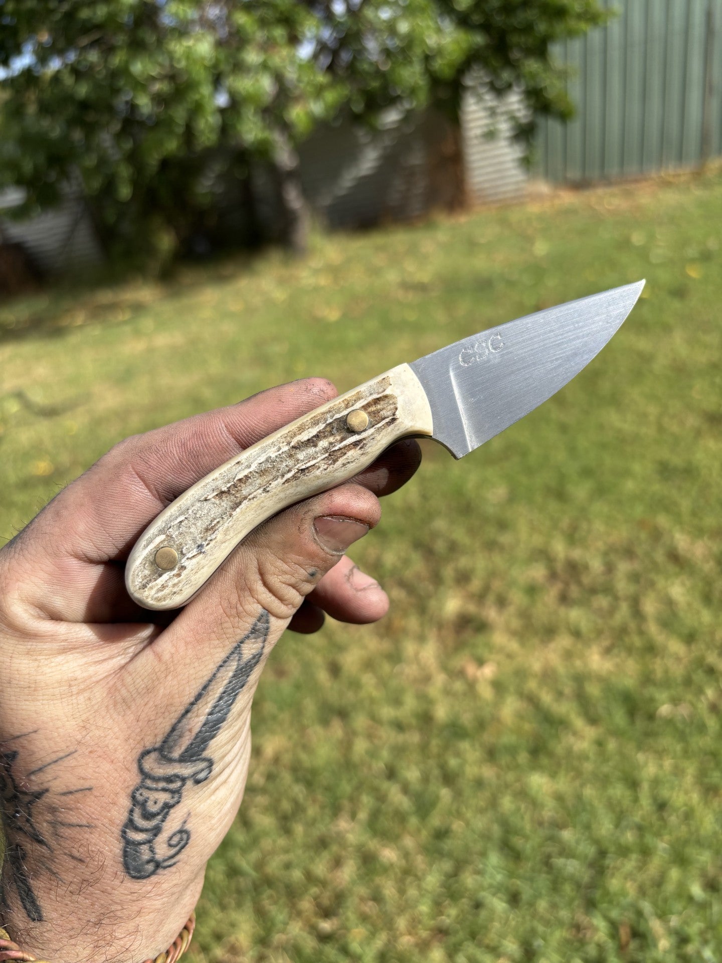 Snack Pack Antler
