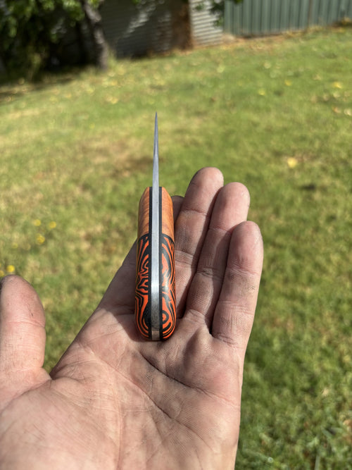 Snack Pack Segmented Handle